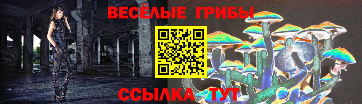 Евпатория  Псилоцибиновые грибы MAGIC MUSHROOMS  Вход с VPN  Галлюциногенные грибы Psilocybe 
